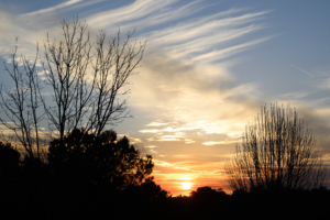 Sunset scene with a glowing orange sun setting behind two silhouetted trees. Wispy clouds streak across the sky, evoking a serene and tranquil atmosphere.