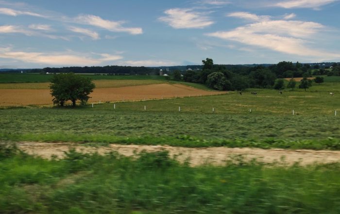 Expansive rural landscape with green fields, trees, and distant farm buildings under a blue sky with white clouds, conveying tranquility.