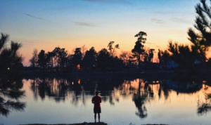 Person standing by a calm lake at sunset with silhouetted trees reflecting on the water.