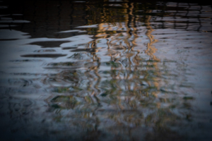 Abstract reflection of trees and light on rippling water, creating a serene and artistic pattern with a mix of blue and warm hues.