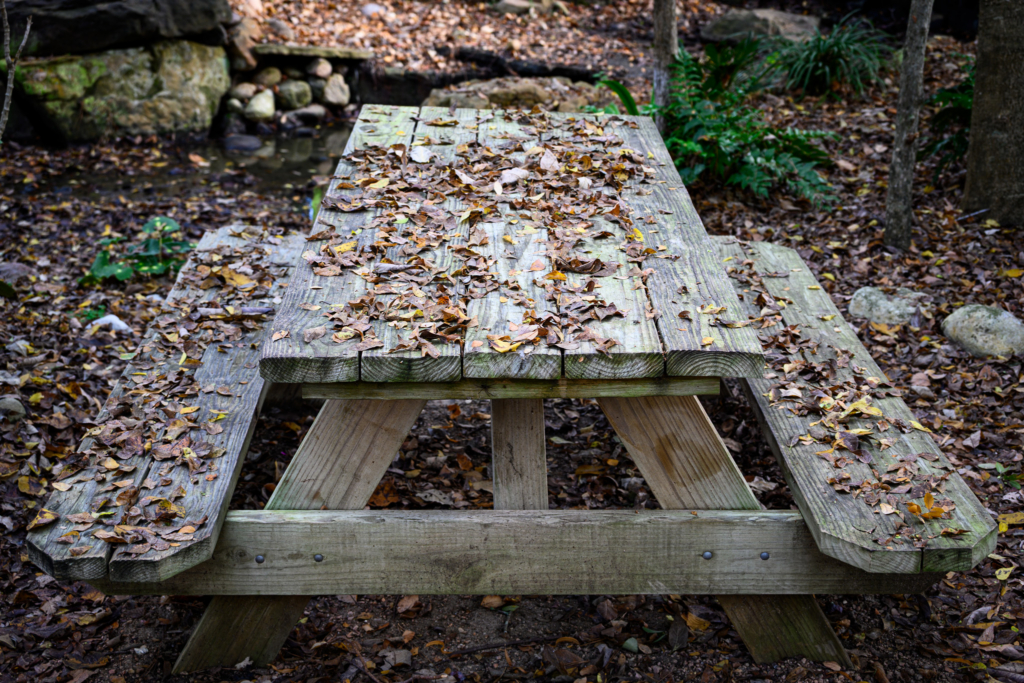 Wooden picnic table and benches covered in dry autumn leaves in a forest setting with rocks and green plants nearby.