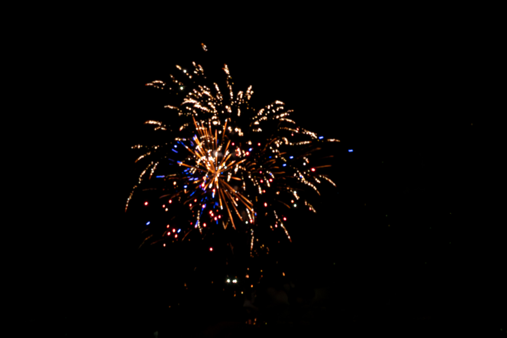 Colorful fireworks bursting with gold, red, and blue sparks against a black night sky.