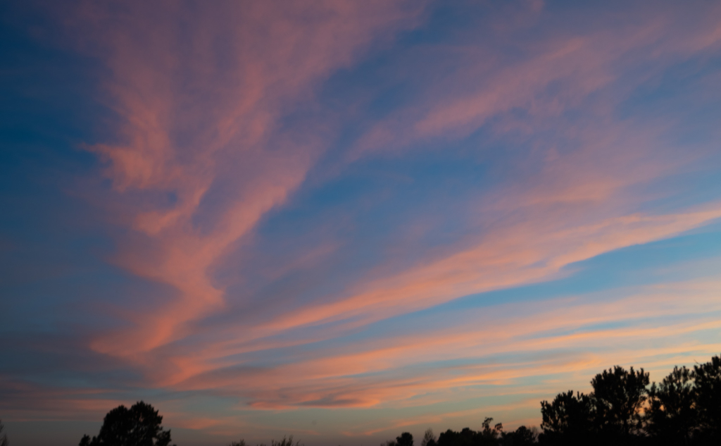 Sunset sky with pink and orange clouds streaked across a blue backdrop above silhouetted trees.