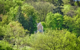 A small stone chapel with a pointed roof and circular window peeks through dense, sunlit green woodland, creating a peaceful scene.