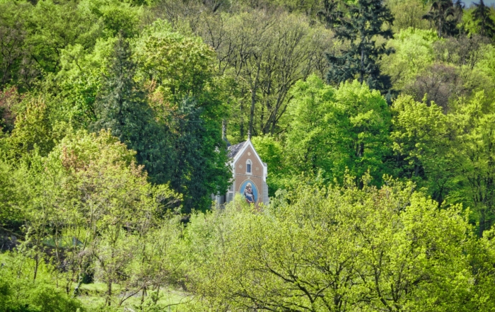 A small stone chapel with a pointed roof and circular window peeks through dense, sunlit green woodland, creating a peaceful scene.