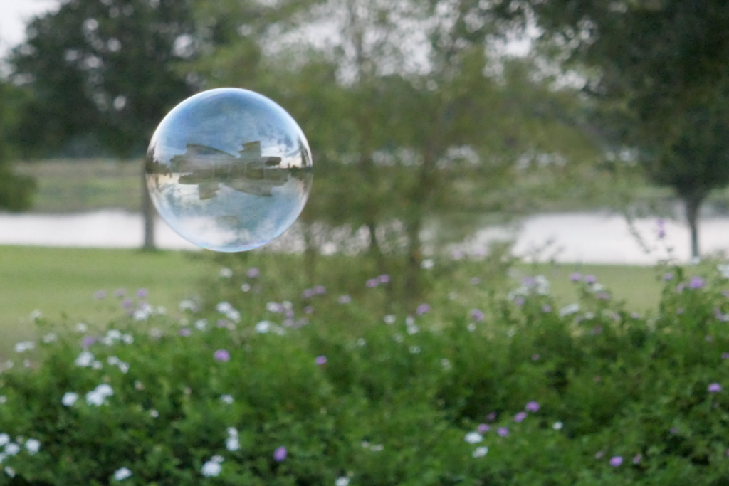 Transparent bubble floating above green bushes with purple and white flowers near a pond and trees in the background.