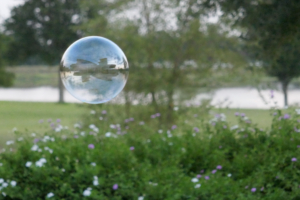 Transparent bubble floating above green bushes with purple and white flowers near a pond and trees in the background.