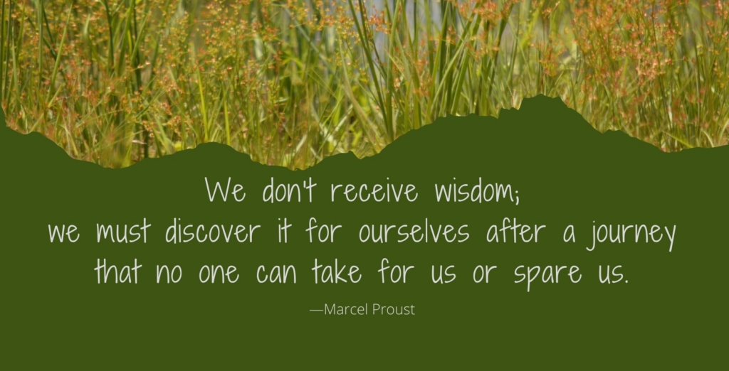 Tall reeds frame a dark green panel bearing a reflective Marcel Proust quote about discovering wisdom through personal journeys.