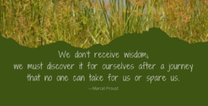 Tall reeds frame a dark green panel bearing a reflective Marcel Proust quote about discovering wisdom through personal journeys.
