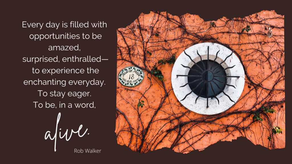 Inspirational graphic of an eye-like shell on cracked orange bark, with text urging awe, wonder, surprise, and staying eager to be alive.