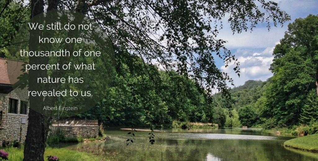 Serene wooded pond with stone cottage and green hills; Einstein quote conveys wonder and humility about nature’s mysteries.