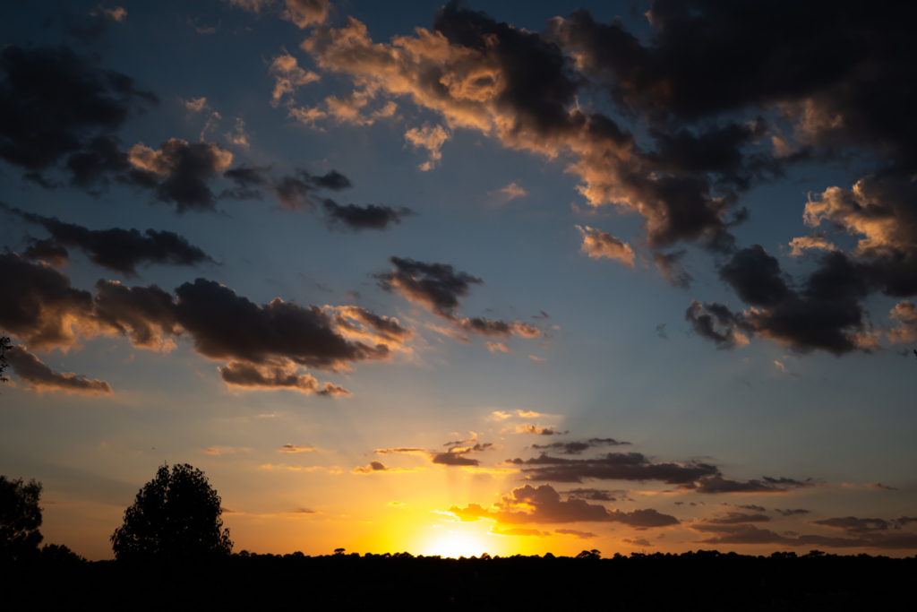 Dramatic sunset glowing beneath dark, orange-edged clouds over a silhouetted tree-lined horizon.